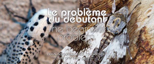 Le problème du débutant : nous sommes aussi coupables…