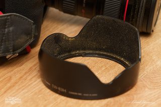 photo-20110822-7D-IMG_3087