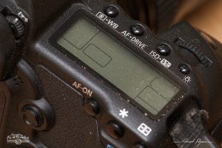 photo-20110822-7D-IMG_3092