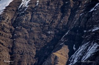 McDonnell Douglas - Boeing F/A-18D Hornet