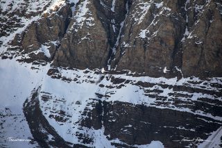 Northrop F-5E Tiger II